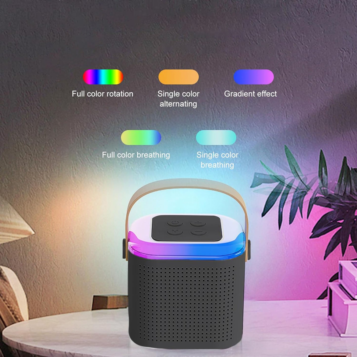 Wireless Speaker Microphone Portable Karaoke (Black)
